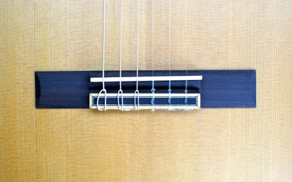 Solid Cedar / Rosewood Classical Travel Guitar – OC520